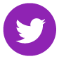 social-icons-purple-twitter